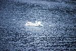 092_2008-0917-1814-54A.jpg
